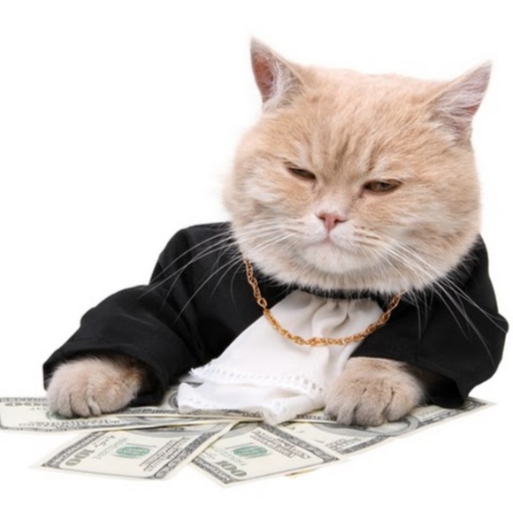 Meet your Posher, Ally - Picture 1 of 1